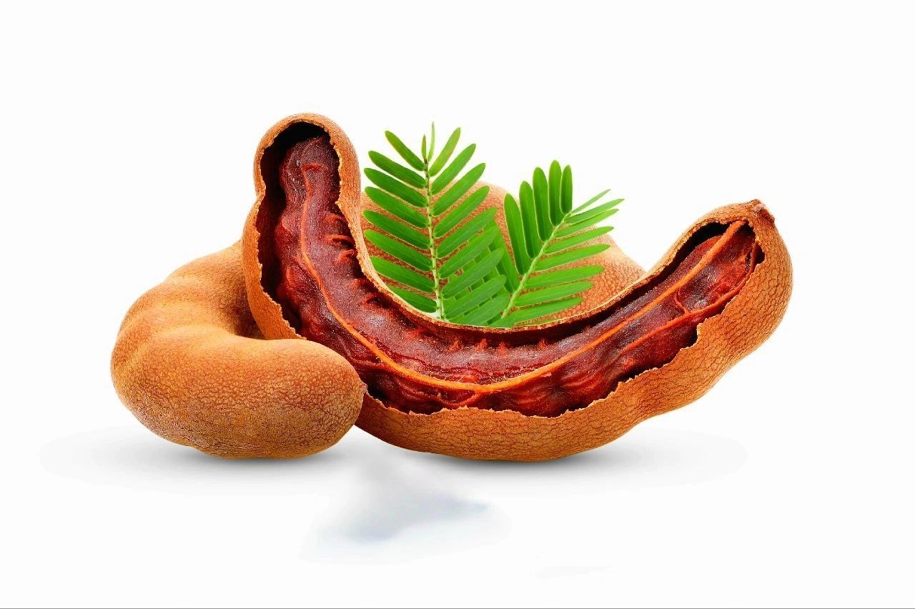 Ripe tamarind pods opened to show the dark pulp inside